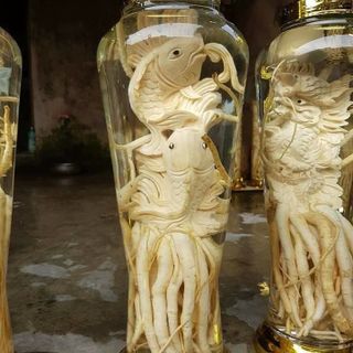 Bình đinh lăng điêu khắc các loại