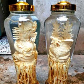 Bình đinh lăng điêu khắc các loại