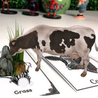 Bộ 31 Thẻ Học Animal 4D Thông Minh