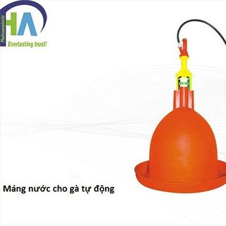 Các lợi ích khi sử dụng máng uống nước tự động cho gà Phú Hòa An giá sỉ