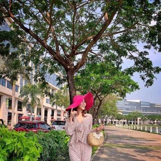 SÉT BÈO ÁO CỘT NƠ