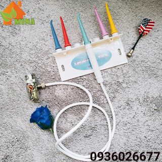 Tăm nước thông minh MINA - Vòi inox sang trọng