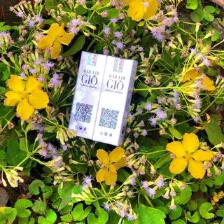 Dầu thơm H-Parfum