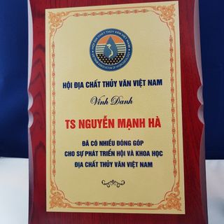 bằng khen gỗ đồng bán bằng chứng nhận các đại lý biểu trưng vinh danh