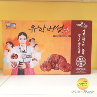 Nấm hộp cô gái Hàn Quốc 1kg
