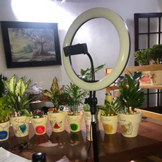 Đèn led livestream 26cm