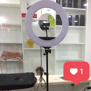 Đèn led livestream 45cm