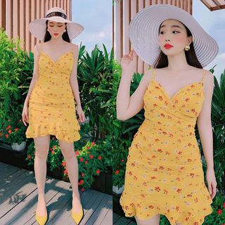 ĐẦM HAI DÂY HỌA TIẾT