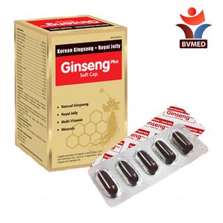 GINSENG PLUS - Bồi bổ sức khỏe tăng cường sức đề kháng giảm mệt mỏi ổn định huyết áp hạn chế lão hóa cơ thể giá sỉ