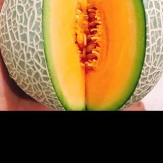 Dưa lưới sỉ thùng liên hệ