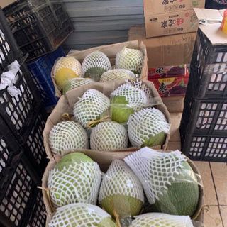 Dưa lưới sỉ thùng liên hệ