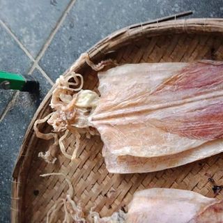 khô mực quãng bình