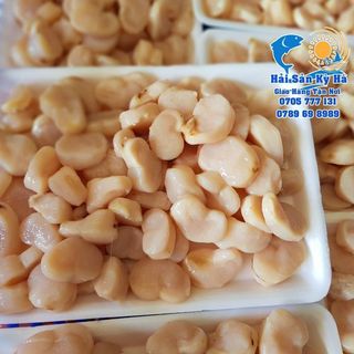 Cồi Sò Mai