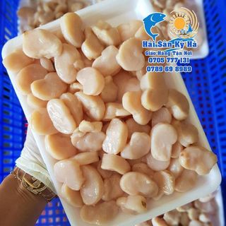 Cồi Sò Mai
