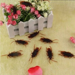 Dán chuột nhện cao su