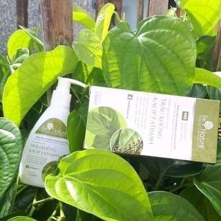 Dung dịch vệ sinh trầu không