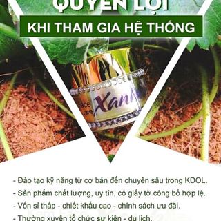 kem face xanh và mai thảo mộc đang hot hit