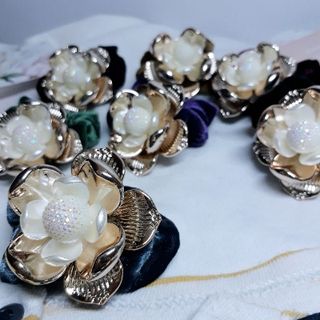Bông sen nhụy trắng lớn