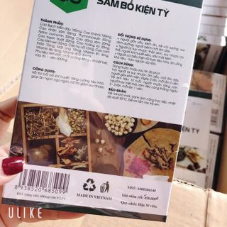 Sâm Bổ Kiện Tỳ Hàng Chuẩn Mẫu Mới