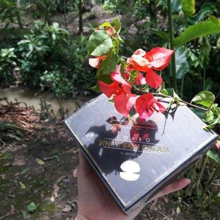mỹ phẩm vip white