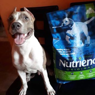 Canada Nutrience Original Thức Ăn Cho Chó Con Dưới 12 Tháng Tuổi - Thịt Gà Rau Củ Trái Cây Tự Nhiên