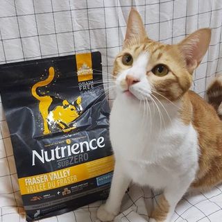 Canada Nutrience Subzero Thức Ăn Hạt Cho Mèo Bao 5kg - Thịt Gà Cá Hồi Cá Tuyết Cá Trích Rau Củ Trái Cây Tự Nhiên