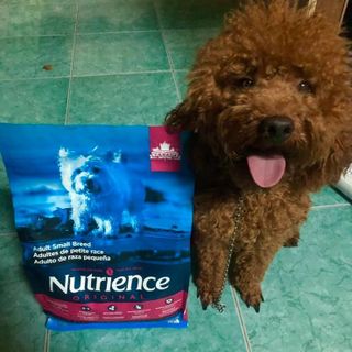 Canada Nutrience Original Thức Ăn Cho Chó Giống Nhỏ Trên 6 Tháng Tuổi - Thịt Gà Rau Củ Trái Cây Tự Nhiên