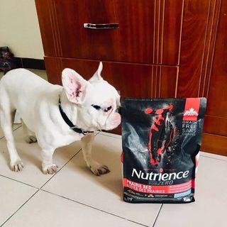 Canada Nutrience Subzero Thức Ăn Hạt Cho Chó Bao 227kg - Thịt Bò Thịt Gà Cá Hồi Cá Tuyết Cá Trích Rau Củ Trái Cây Tự Nhiên