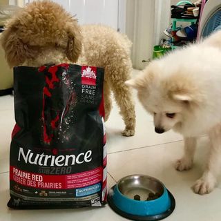 Canada Nutrience Subzero Thức Ăn Hạt Cho Chó Bao 227kg - Thịt Bò Thịt Gà Cá Hồi Cá Tuyết Cá Trích Rau Củ Trái Cây Tự Nhiên