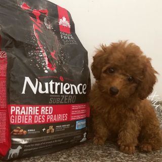 Canada Nutrience Subzero Thức Ăn Hạt Cho Chó Bao 227kg - Thịt Bò Thịt Gà Cá Hồi Cá Tuyết Cá Trích Rau Củ Trái Cây Tự Nhiên