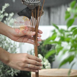 Đài sen khô