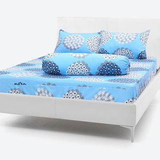 BỘ DRAP COTTON THẮNG LỢI CHẦN GÒN 1m6x2m