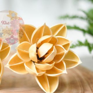Hoa sen không đài kem