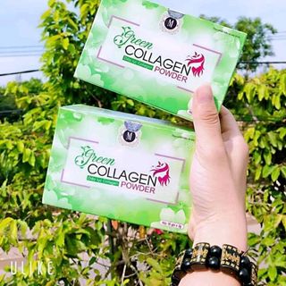 diệp lục collagen giá sỉ