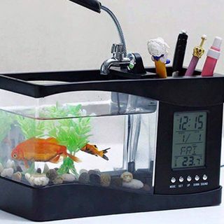 Bể Cá Phong Thủy Mini