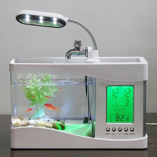 Bể Cá Phong Thủy Mini
