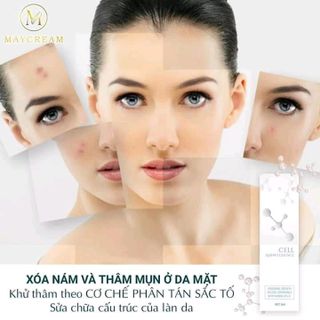 Cell AMINO ESSENCE