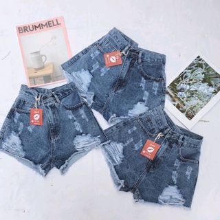 Quần Short Nữ Rách Size SML