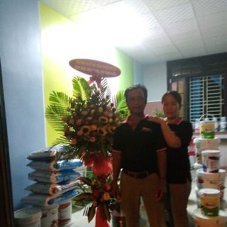 sơn jica nhật bản