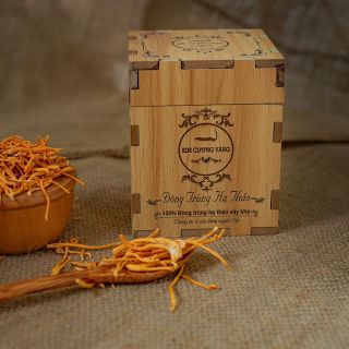 ĐÔNG TRÙNG HẠ THẢO LOẠI KHÔ