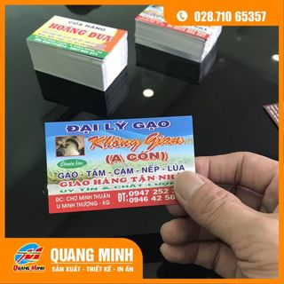 In card visit / danh thiếp / name card