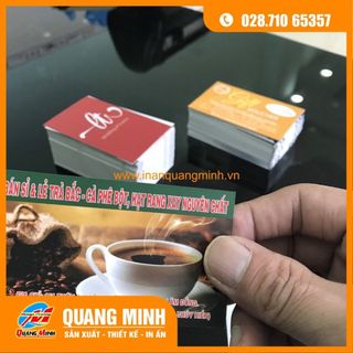In card visit / danh thiếp / name card