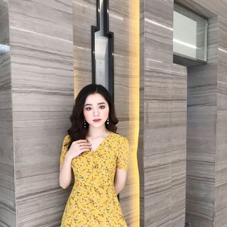 ĐẦM HOA NHÍ ĐUÔI CÁ