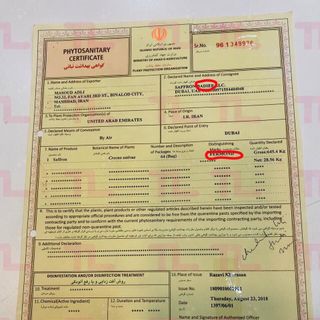 SAFFROM FERMOND 2G NEGIN