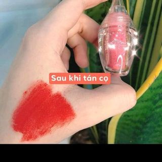 Son Bột - Son Chu Lần đầu tiên xuất hiện tại VN