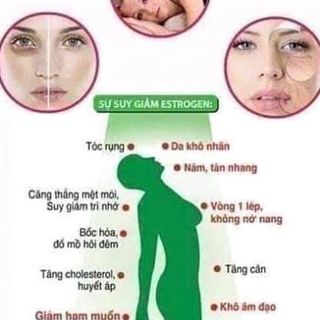 DIỆP LỤC COLLAGEN