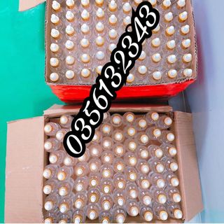 CHUYÊN SỈ NƯỚC LỘT DA 60P ĐỦ MÀU MÙI