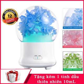 Máy khuyếch tán tinh dầu tú cầu cao cấp