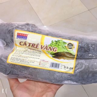 Cá trê vàng