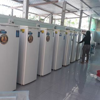 YAOURT SỮA TƯƠI 100 NHÀ LÀM giá sỉ